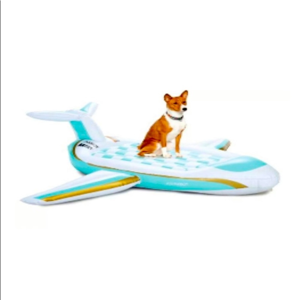 New🤩Bark Box Jet Plane Floatie